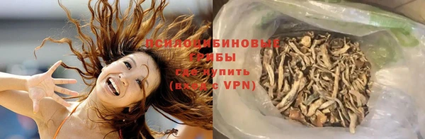 круглые Алексеевка
