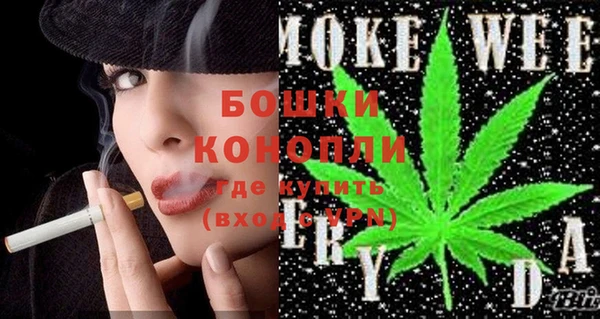 прущие грибы Арсеньев