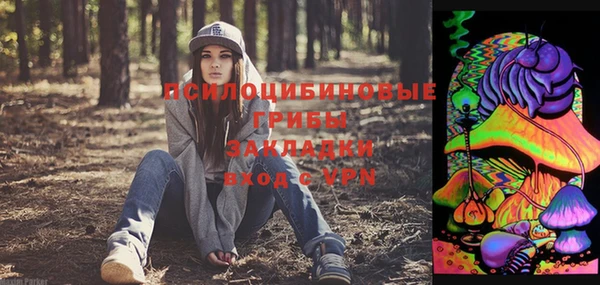 круглые Алексеевка