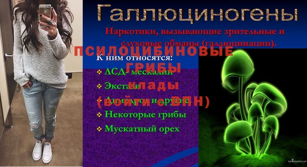 прущие грибы Арсеньев