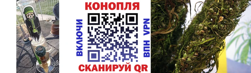 Бошки Шишки Amnesia  kraken сайт  Пласт 